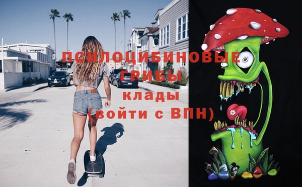 альфа пвп Краснослободск