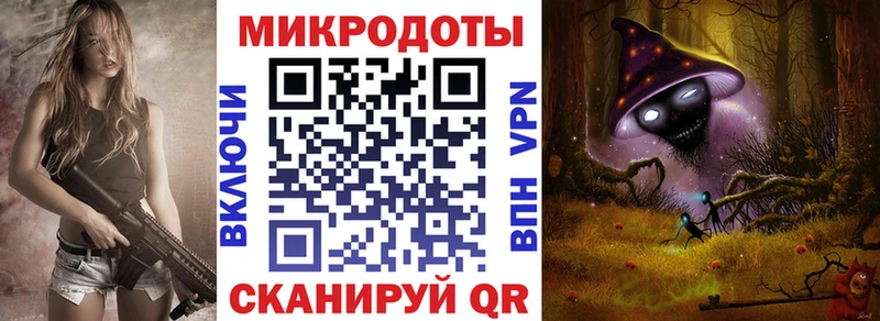 Галлюциногенные грибы Psilocybe  Лодейное Поле 
